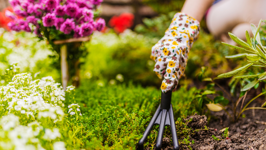 Bienenfreundlicher Frühling: Tipps für einen bienenfreundlichen Garten